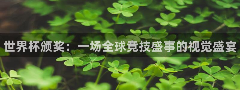 世界杯球赛：世界杯颁奖：一场全球竞技盛事的视觉盛宴