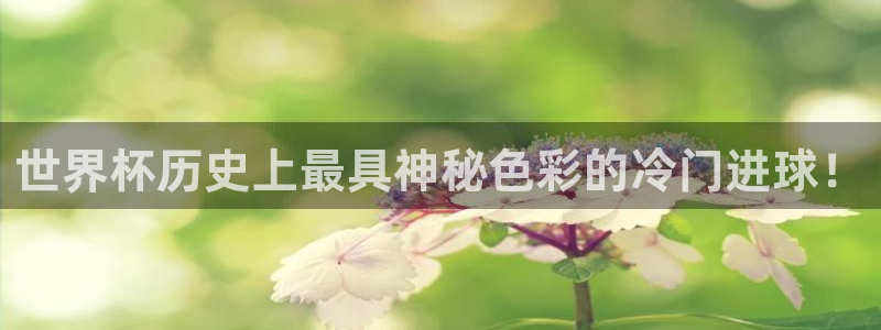 世界杯亚洲区预选赛积分榜：世界杯历史上最具神秘色彩的冷门进球！