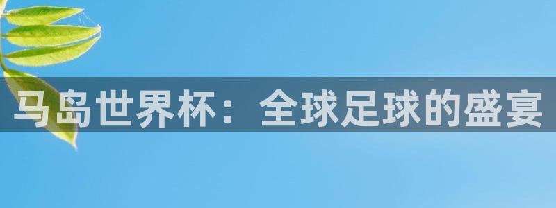 世界杯决赛圈球队：马岛世界杯：全球足球的盛宴