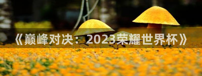2026世界杯32强对阵图表:《巅峰对决:2023荣耀世界杯》