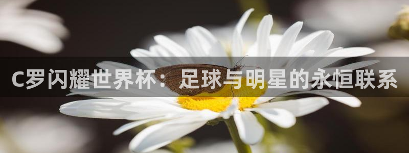 2026世界杯赛程：C罗闪耀世界杯：足球与明星的永恒联系
