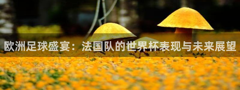 2026世界杯南美区积分榜：欧洲足球盛宴：法国队的世界杯表现与未来展望