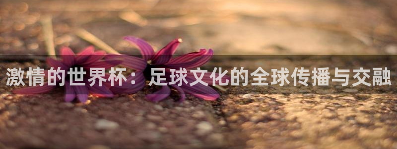 世界直播：激情的世界杯：足球文化的全球传播与交融