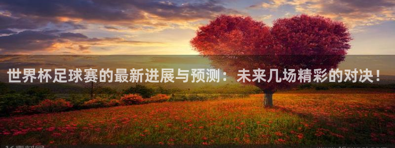 2006年世界杯冠军：世界杯足球赛的最新进展与预测：未来几场精彩的对决！