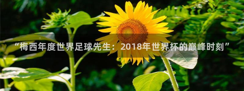 2026世预赛全部赛程：“梅西年度世界足球先生：2018年世界杯的巅峰时刻”