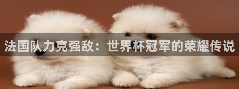 欧洲世界杯预选赛赛程：法国队力克强敌：世界杯冠军的荣耀传说