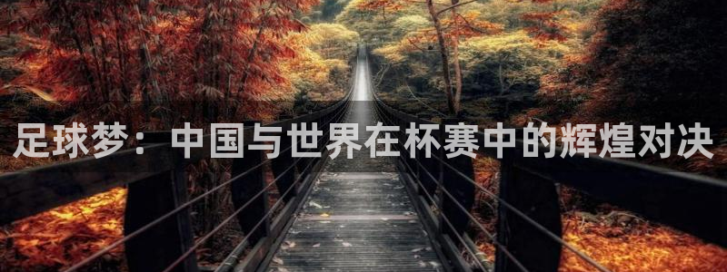 男足世界杯预选赛赛程：足球梦：中国与世界在杯赛中的辉煌对决