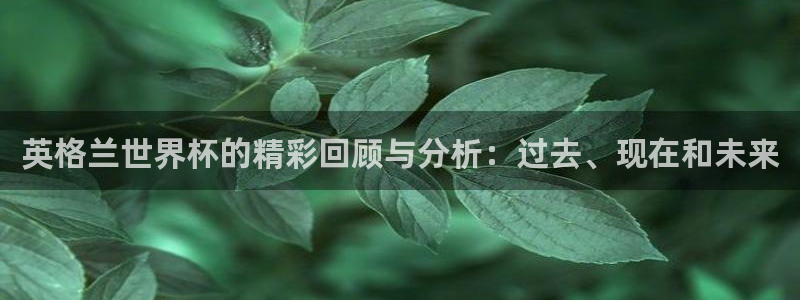世界杯直播在线观看入口：英格兰世界杯的精彩回顾与分析：过去、现在和未来