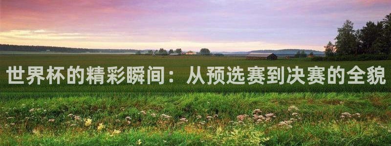 世界杯女足直播：世界杯的精彩瞬间：从预选赛到决赛的全貌